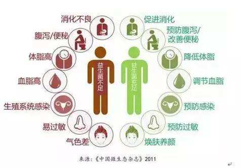 夏天腸胃問題頻發(fā)，您應(yīng)該用益生菌了