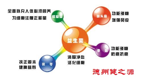 夏天腸胃問題頻發(fā)，您應(yīng)該用益生菌了